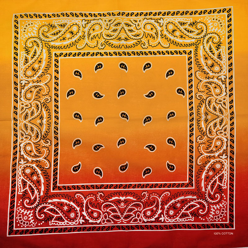 Fashion Unisex Black Paisley H – обзор и цена Bandana Blank White
