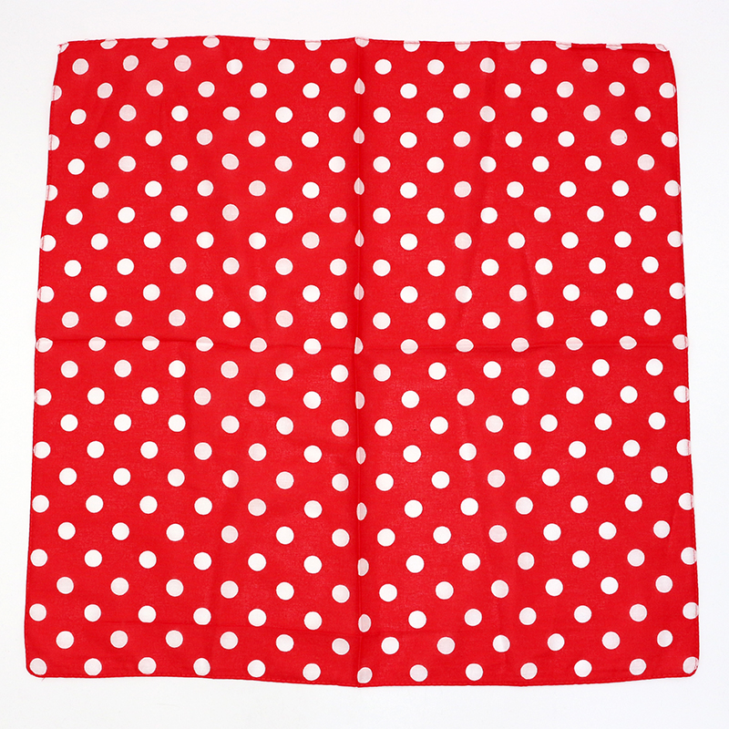 Basic Red/White/Black/Navy Dot – обзор и цена Bandana Blank White